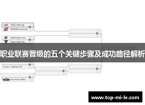 职业联赛晋级的五个关键步骤及成功路径解析